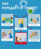 Как передается грипп.