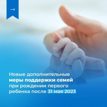 Постановление о порядке предоставления мер социальной поддержки женщинам в Псковской области при рождении первого ребёнка. 